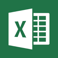 Using MS Excel